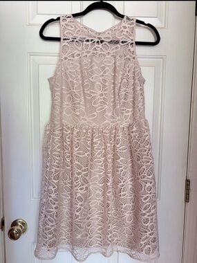 Sandra Darren Sleeveless Lace Fit & Flare Dress